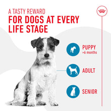 Load image into Gallery viewer, Royal Canin Training Treats 110g
