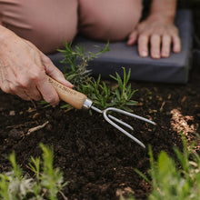 Load image into Gallery viewer, Kent &amp; Stowe Stainless Steel Hand 3 Prong Cultivator
