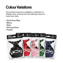 Load image into Gallery viewer, Our Dogs Life Magnetic Lock Lead &amp; Harness Set: Green
