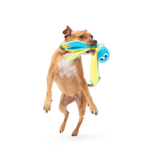 Load image into Gallery viewer, Bark Odd Otto Dog Toy
