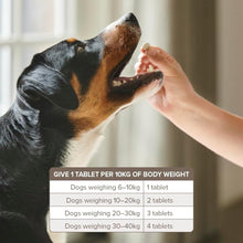 Load image into Gallery viewer, Beaphar One Dose Dog Wormer - 20-40kg 4 Tablets

