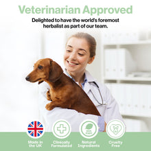 Load image into Gallery viewer, ProBioPets Daily Probiotic Cough Powder 100g

