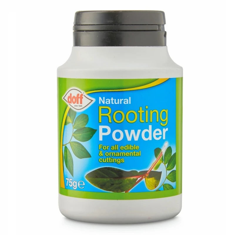 Doff Natural Rooting Powder - 75g