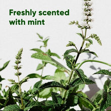 Load image into Gallery viewer, Beco Mint Scented Recycled Poop Bags x 120 Pack
