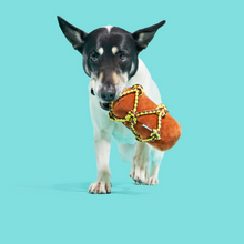 Load image into Gallery viewer, Bark Barkbeard'S Rum Dog Toy
