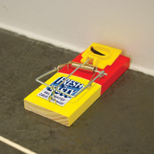 Load image into Gallery viewer, The Big Cheese Fresh Baited Mouse Trap - Twinpack
