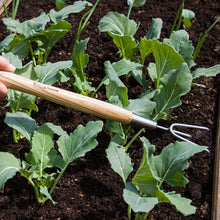 Load image into Gallery viewer, Kent &amp; Stowe Stainless Steel Border 3 Prong Cultivator
