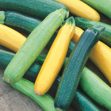 Load image into Gallery viewer, Courgette Tristar F1
