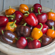 Load image into Gallery viewer, Pepper (Sweet) Sweetonia Mix
