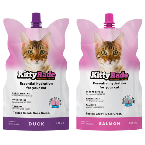 KittyRade Prebiotic Drink For Cats Essential Hydration Salmon Or Duck 250ml