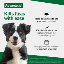 Load image into Gallery viewer, Advantage Spot On Flea Treatment (4 Pack) for Cats, Dogs &amp; Rabbits
