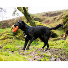 Load image into Gallery viewer, Chuckit! Air Fetch Wheel Dog Toy Flying Disc
