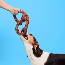 Load image into Gallery viewer, Bark Paula'S Park Slope Pretzel Dog Toy
