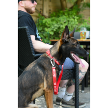 Load image into Gallery viewer, Twiggy Tags Awareness Collar
