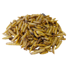 Load image into Gallery viewer, Copdock Mill Calci Boost Grubs Tubs 5 Litre
