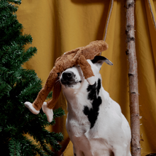 Load image into Gallery viewer, Bark Hairy Henderson Dog Toy
