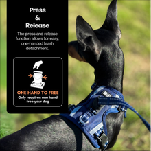 Load image into Gallery viewer, Our Dogs Life Magnetic Lock Lead &amp; Harness Set: Navy
