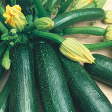 Load image into Gallery viewer, Courgette Firenze F1
