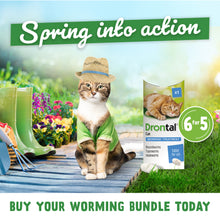 Load image into Gallery viewer, Drontal Wormer Tablets, Convenient for Small &amp; Medium Cats (Under 4kg) 6 Tablets
