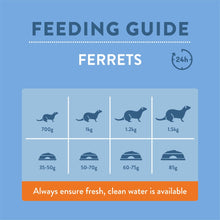 Load image into Gallery viewer, Burgess Excel Small Animal Ferret Food Nuggets 2kg
