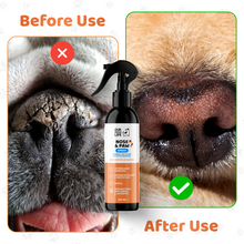 Load image into Gallery viewer, Our Dogs Life Hypochlorous Nose &amp; Paw Spray 250ml
