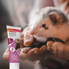 Load image into Gallery viewer, Beaphar Multi-Vitamin Malt Paste for Ferrets 100g
