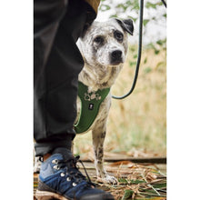 Load image into Gallery viewer, Hurtta Weekend Warrior Harness II ECO Parsley 45-60cm
