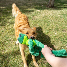 Load image into Gallery viewer, KONG Knots Frog Lg/XL Dog Toy
