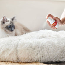 Load image into Gallery viewer, Beaphar CatComfort Calming Spray
