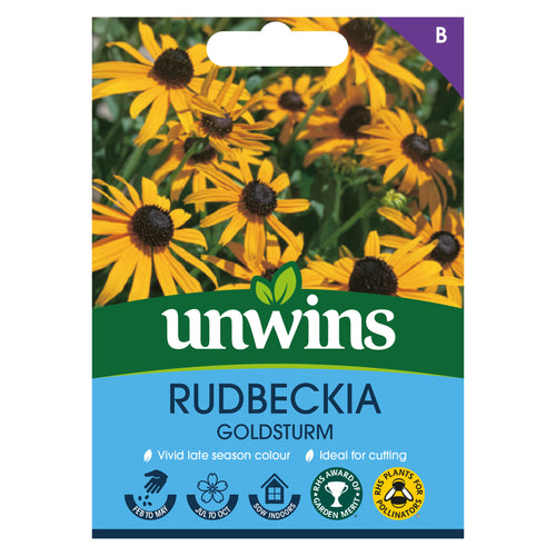Rudbeckia Goldsturm