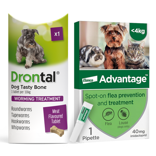 Drontal Worming Tablet & Advantage Spot-On Flea & Treatment for Small Dogs