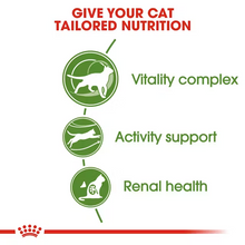 Load image into Gallery viewer, Royal Canin Cat Food Outdoor  7+
