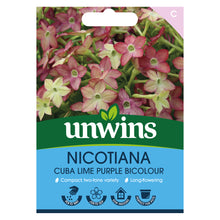 Load image into Gallery viewer, Nicotiana Cuba Lime Purple Bicolour
