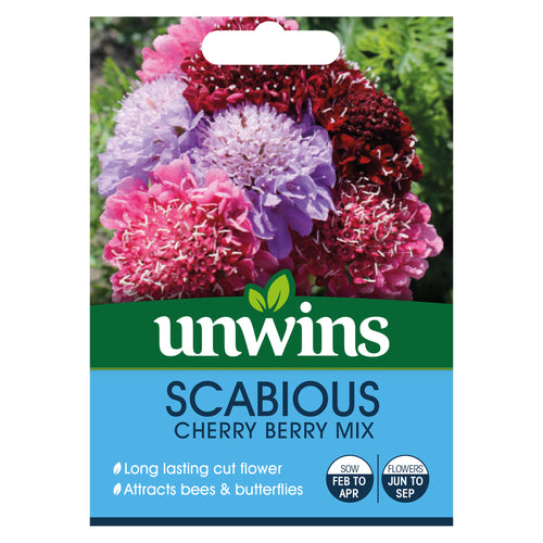 Scabious Cherry Berry Mix