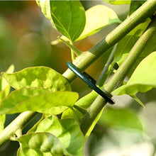 Load image into Gallery viewer, Growers Choice Plastic Coated Plant Rings Green 2.5cm 50pk
