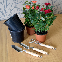 Load image into Gallery viewer, Spear &amp; Jackson Stainless 3pc Mini Hand Tool Set
