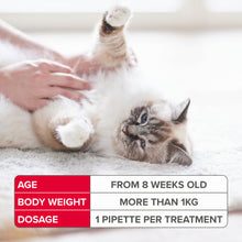 Load image into Gallery viewer, Beaphar FIPROtec Spot On Cat 6 Pipettes
