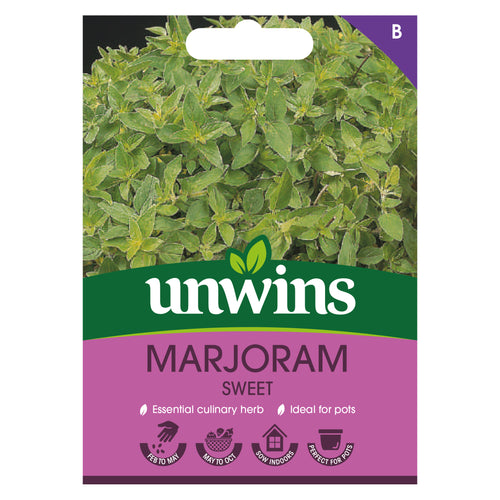 Herb Marjoram Sweet
