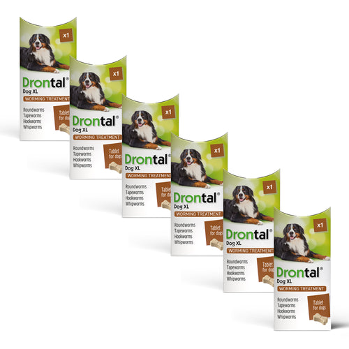 Drontal Tasty Bone XL Wormer Tablets, Convenient for Large Dogs (Over 20kg) 6 Tablets