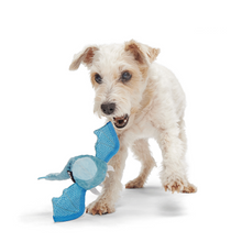 Load image into Gallery viewer, Bark Brrrtha The Dragon Dog Toy
