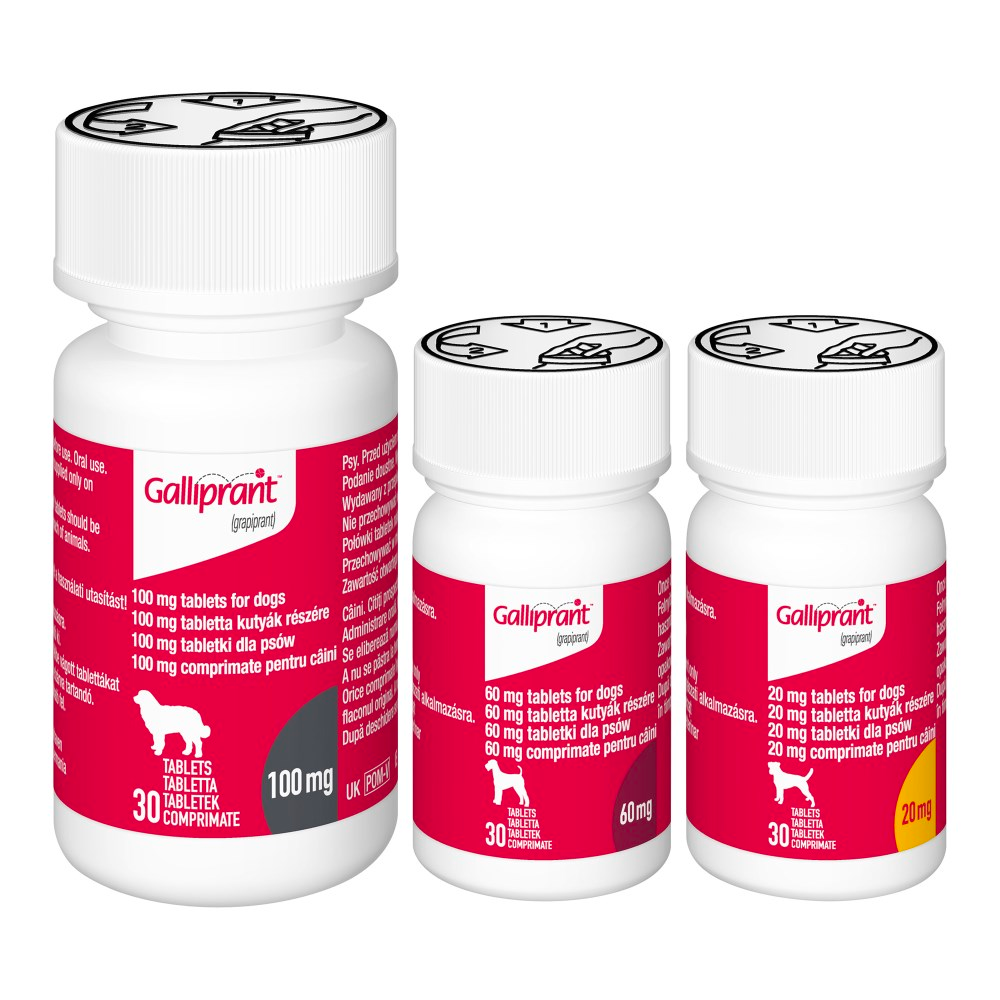 Galliprant Tablets For Dogs 60mg x 30