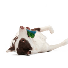 Load image into Gallery viewer, Bark Crocness Monster Dog Toy
