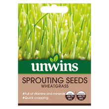Load image into Gallery viewer, Sprouting Seeds Wheatgrass
