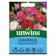 Load image into Gallery viewer, Dianthus Pink Spring Beauty
