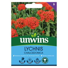 Load image into Gallery viewer, Lychnis Chalcedonica
