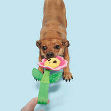 Load image into Gallery viewer, Bark Penny Pechewnia Dog Toy

