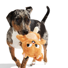 Load image into Gallery viewer, Bark Pearl Squirrel Dog Toy
