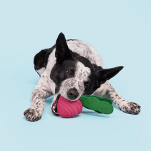 Load image into Gallery viewer, Bark Turnt Up Turnip Dog Toy
