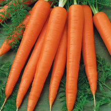 Load image into Gallery viewer, Unwins Sunday Roast Veg Seed Bundle
