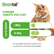 Load image into Gallery viewer, Drontal Wormer Tablets, Convenient for Small and Medium Cats (Under 4kg), All Pack Sizes
